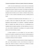 Derechos de participación, Derechos de Libertad y Derechos de la Naturaleza.