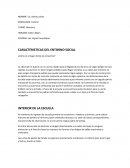 CARACTERISTICAS DEL ENTORNO SOCIAL
