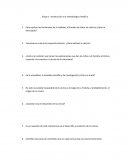 Laborarorio IMC Etapa 1