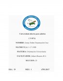 ANÁLISIS DE LA MISIÓN, VISIÓN Y VALORES DE LA UAPA.