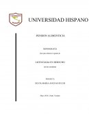 PENSION ALIMENTICIA MONOGRAFÍA