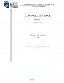 TIPO DE RIEGO DEFINICION EJEMPLO