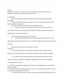 Actividad 1: Tema 1. Creatividad: naturaleza y proceso