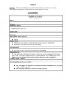 Tarea DCM04 Derecha, izquierda” NIVEL 5-6 años.