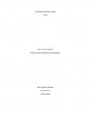 Roles de la enfermeria