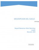 Descripcion de suelos