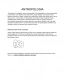 Educacion. Diferencias entre hombre y animales