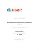Sistema de Información Gerencial Principios Básicos de los Sistemas de Información de los Negocios