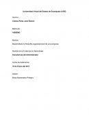 Desarrollado la filosofía organizacional de una empresa