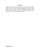 Caso empresa Gillette