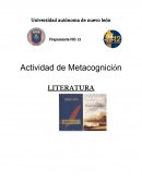 ACTIVIDAD DE METACOGNICIÓN. LITERATURA