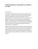 CAMBIOS HORMONALES Y FISIOLOGICOS EN LA PUBERTAD DEL VARON