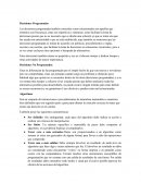 Ensayo logica computacional primera unidad