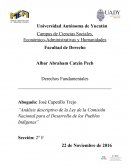 Análisis descriptivo de la ley de la comisión nacional para el desarrollo de los pueblos indígenas
