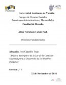 “Análisis descriptivo de la Ley de la Comisión Nacional para el Desarrollo de los Pueblos Indígenas”