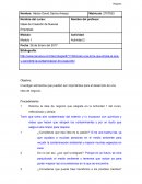 Ideas de Creación de Nuevas Empresas