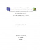 LECTURA E INTERPRETACIÓN DE MAPAS. INFORME DE CARTOGRAFÍA.