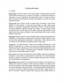 VIA MOTORA CORTICO ESPINAL