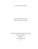 ATLAS OSTEOLOGICO EN GATOS