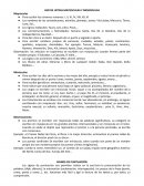 USO DE LETRAS MAYÚSCULAS Y MINÚSCULAS