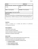 Actividad Neurolinguistica. La importancia de la comunicación