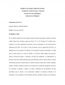 Escuela de Ciencias Biológicas Laboratorio de Biología I