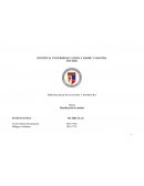 PLANIFICACION DE UNIDAD