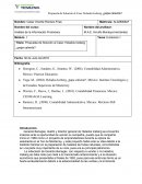 Propuesta de Solución al Caso: Helados Iceberg ¿papa caliente?