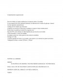 Comportamiento orgnizacional.