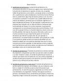 Significado de pertenencia