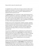 Ensayo sobre ley marco de protección social