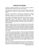 EL GRILLETE DEL ELEFANTE