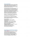 ¿Que es la fotosíntesis? Capta energía de la luz solar