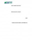AREA 5 QUÍMICO BIOLÓGICAS “BRUCELOSIS EN EL GANADO”