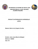 PIA de artes. LA LAGARTERA