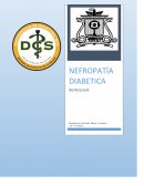 La nefropatía diabética (ND)