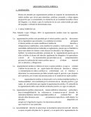 Argumentación Juridica. Características
