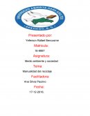 Manualidad del reciclaje