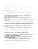 INSTRUCIONES PARA PROGRAMACION BUCARMANGA