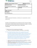 Analizar las diferencias individuales y su influencia en el comportamiento y entorno organizacional.