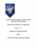 Tema del artículo: Rata topo lampiño