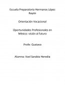 Oportunidades Profesionales en México: visión al futuro