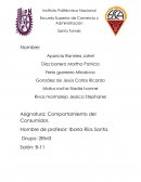 Análisis por Zonas Delegación Benito Juárez