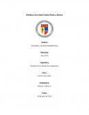 Inteligencia artificial. Introducción a sistemas de computación