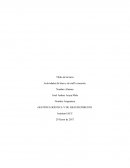 Actividades de línea y de staff o asesoría.