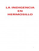 METODOS DE INVESTIGACIÓN: INDIGENCIA