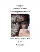 Biología II Animales y Humanos “También podemos hacerlo”