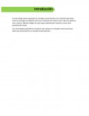 Los pioneros de la sociologia