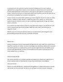 Vascularizacion de la piel