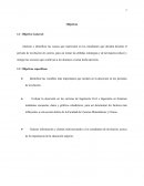 Analizar e identificar las causas que repercuten en los estudiantes que deciden desertar el período de nivelación de carrera, para así tomar las debidas estrategias y de tal manera reducir y mitigar las acciones que conllevan a los alumnos a tomar dich
